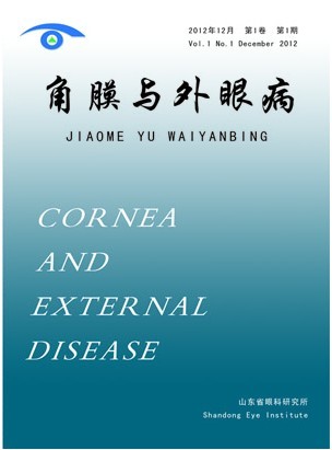 角膜与外眼病-第一卷第一期